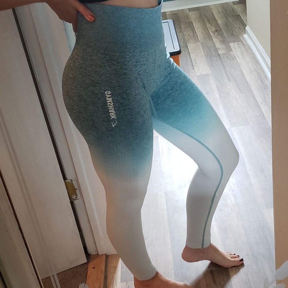 Gymshark Ombre Seamless Leggings